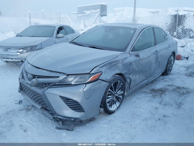 4T1M11AK4LU879242 Toyota CAMRY SE