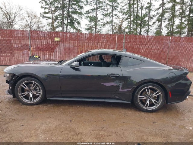 Ford Mustang Ecoboost Premium Fastback 2024 1FA6P8THXR5112316 Image 15