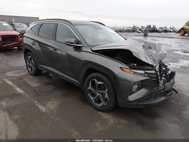 Hyundai Tucson Plug-in Hybrid Limited 2024 KM8JFDD29RU146050 zdjęcie główne