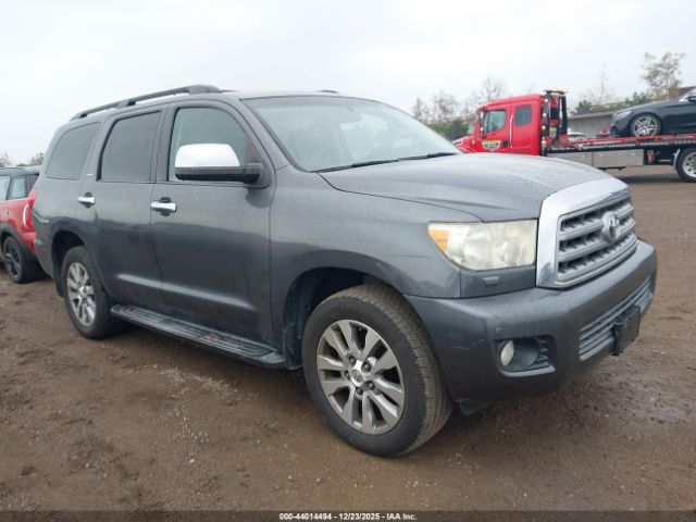 2011 TOYOTA SEQUOIA 5TDJY5G10BS046842