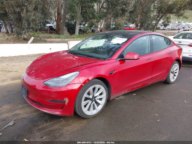 2023 TESLA MODEL 3 5YJ3E1EA6PF450186 Photo 1