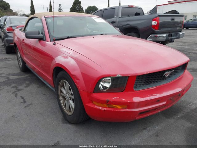 2006 FORD MUSTANG 1ZVFT84N665184908