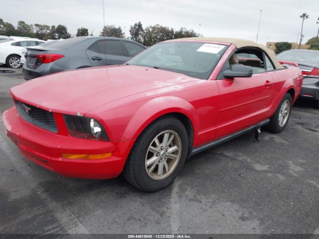 2006 FORD MUSTANG 1ZVFT84N665184908 Photo 1