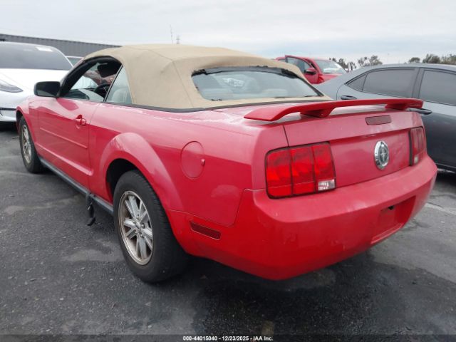 2006 FORD MUSTANG 1ZVFT84N665184908 Photo 2