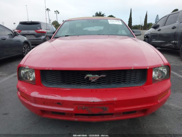 2006 FORD MUSTANG 1ZVFT84N665184908 Photo 5