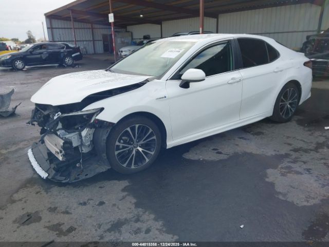 2020 TOYOTA CAMRY 4T1G31AK7LU010383 Photo 1