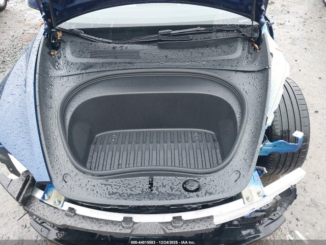 2025 TESLA MODEL 3 5YJ3E1ET8SF973817 Photo 9