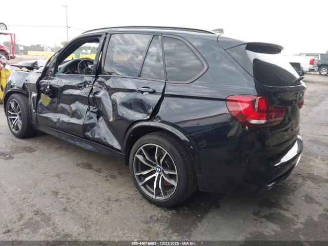 2016 BMW X5 M 5YMKT6C5XG0R78324 Photo 2