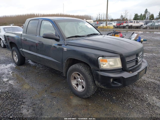 2010 DODGE DAKOTA 1D7CW3GP5AS108206