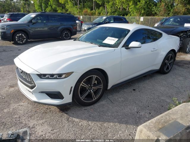 2024 FORD MUSTANG 1FA6P8TH0R5114642 Photo 1