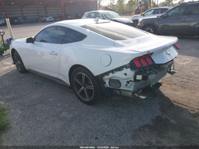 2024 FORD MUSTANG 1FA6P8TH0R5114642 Photo 2