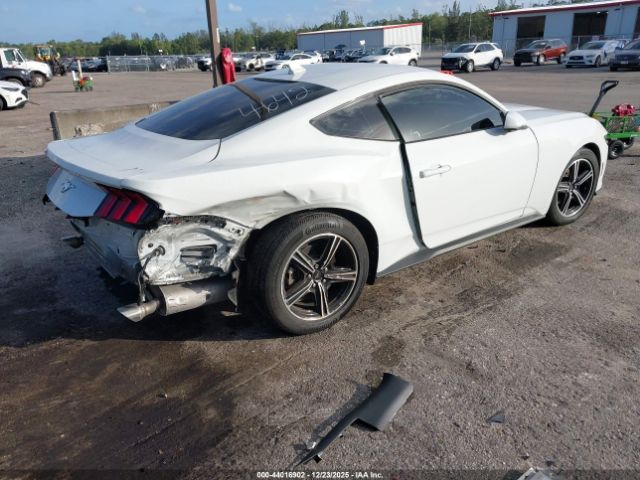 2024 FORD MUSTANG 1FA6P8TH0R5114642 Photo 3