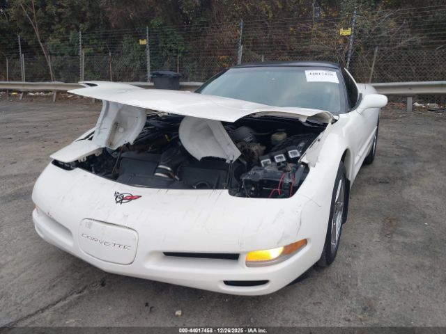 2002 CHEVROLET CORVETTE 1G1YY22G525113796 Photo 5