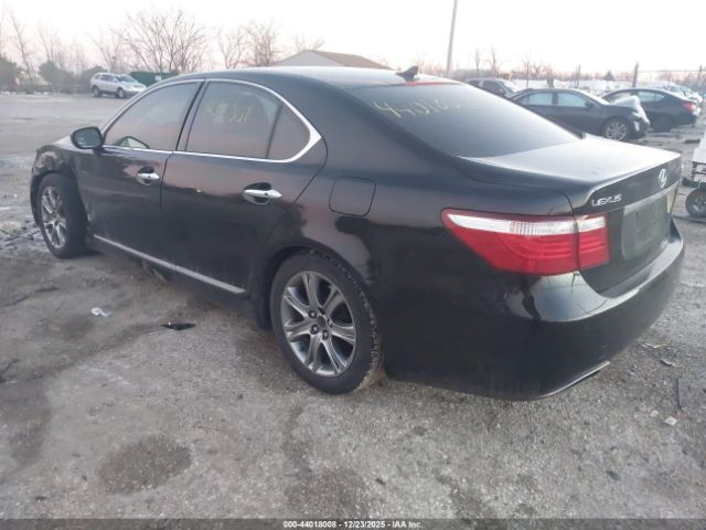 2008 LEXUS LS 460 JTHBL46F885076775 Photo 2