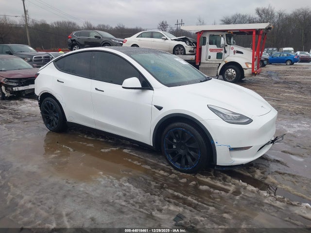 2021 TESLA MODEL Y 5YJYGDEE6MF194003 Photo 0