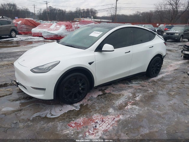 2021 TESLA MODEL Y 5YJYGDEE6MF194003 Photo 1