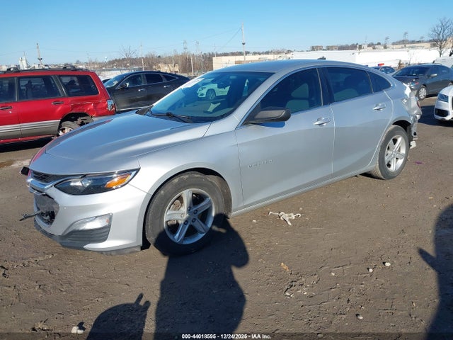 1G1ZB5ST5KF117720 Chevrolet Malibu 1ls