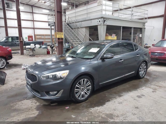 KNALN4D7XF5195501 KIA Cadenza Premium