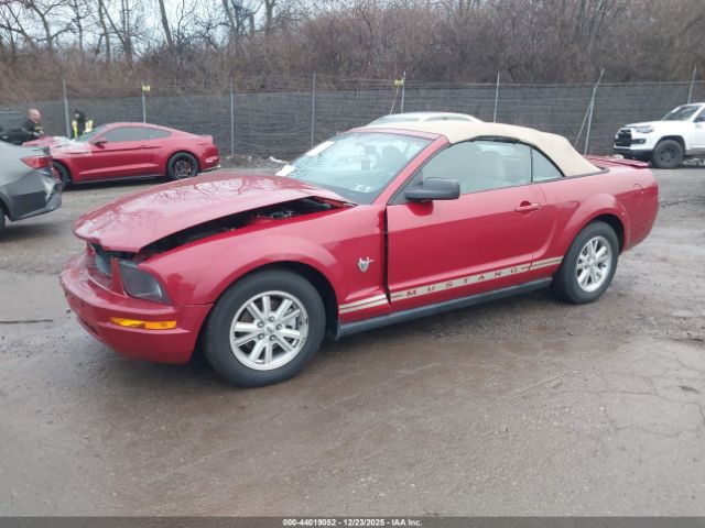2009 FORD MUSTANG 1ZVHT84N795111785 Photo 1