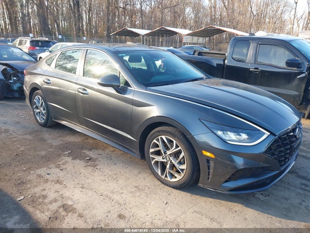 2023 Hyundai Sonata Sel მანქანა იყიდება აუქციონზე, vin: KMHL14JA2PA249845, აუქციონის ნომერი: 44019180