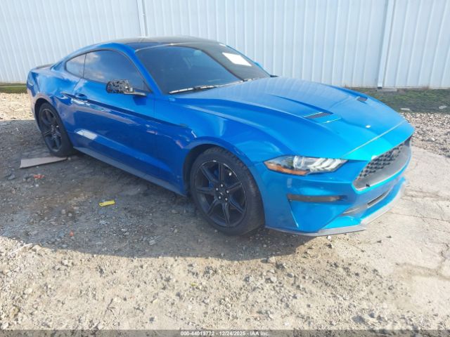 2019 FORD MUSTANG 1FA6P8TH4K5157032