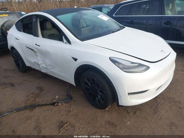 2023 TESLA MODEL Y 7SAYGDEE3PA125693 Photo 0