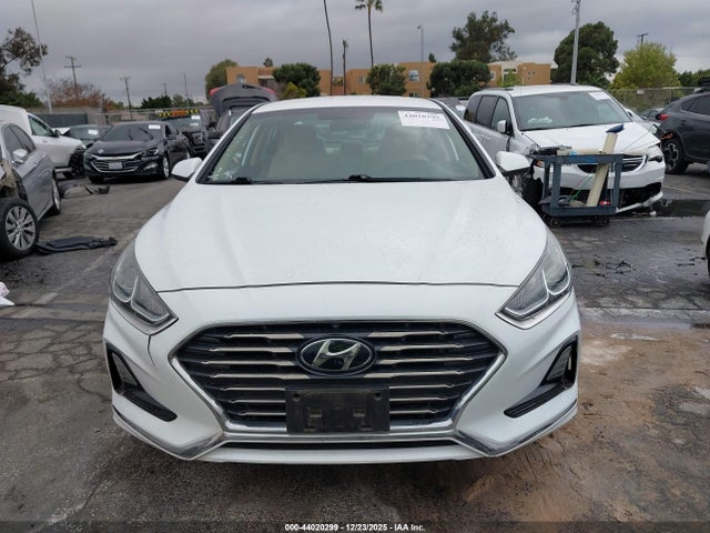 5NPE24AFXJH631546 Hyundai SONATA SE