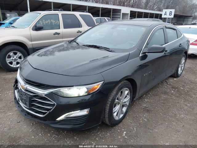 2019 CHEVROLET MALIBU 1G1ZD5ST4KF168393 Photo 1
