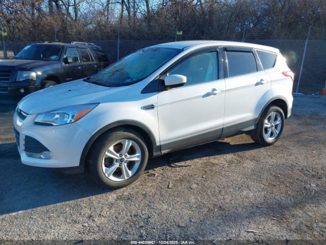 2014 FORD ESCAPE 1FMCU0GX9EUD70704 Photo 1