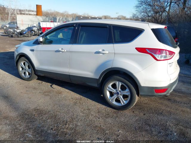 2014 FORD ESCAPE 1FMCU0GX9EUD70704 Photo 2