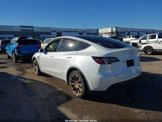 2023 TESLA MODEL Y 7SAYGAEE7PF629651 Photo 2