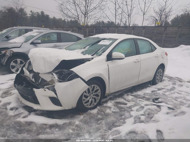 Toyota COROLLA LE 2014 2T1BURHE8EC203829 Image 2