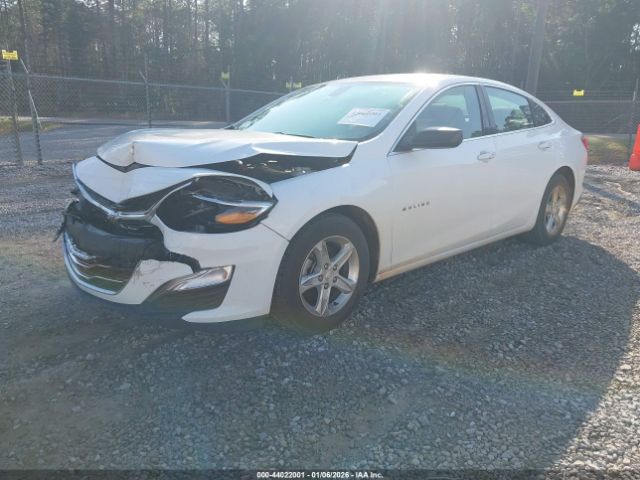 2020 CHEVROLET MALIBU 1G1ZB5ST2LF096049 Photo 1