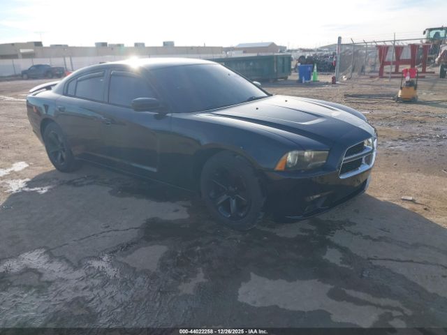 2013 DODGE CHARGER 2C3CDXCT8DH537317
