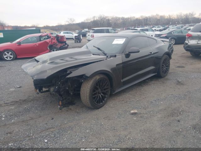 2016 FORD MUSTANG 1FA6P8AM4G5219083 Photo 1