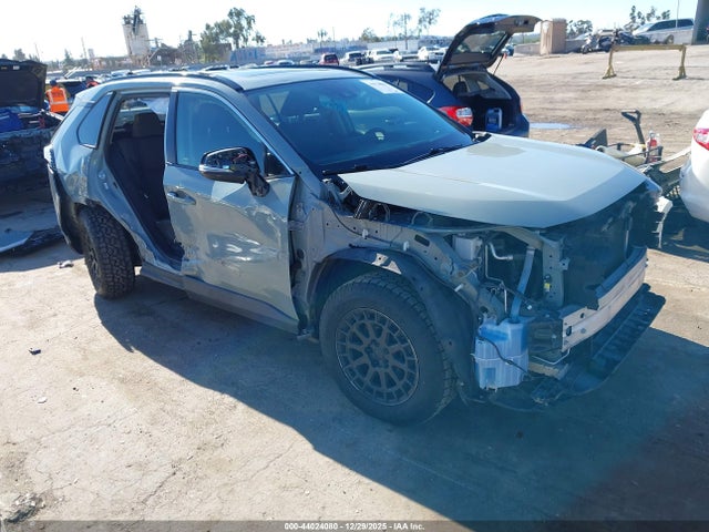 2019 TOYOTA RAV4 JTMW1RFV3KD507811