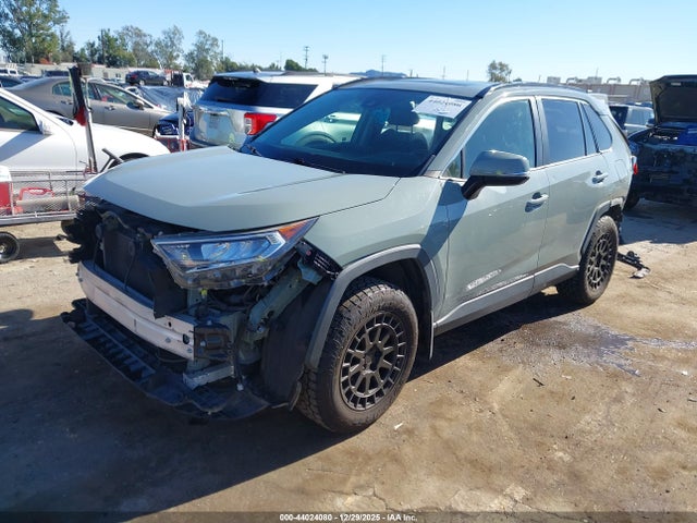 2019 TOYOTA RAV4 JTMW1RFV3KD507811 Photo 1