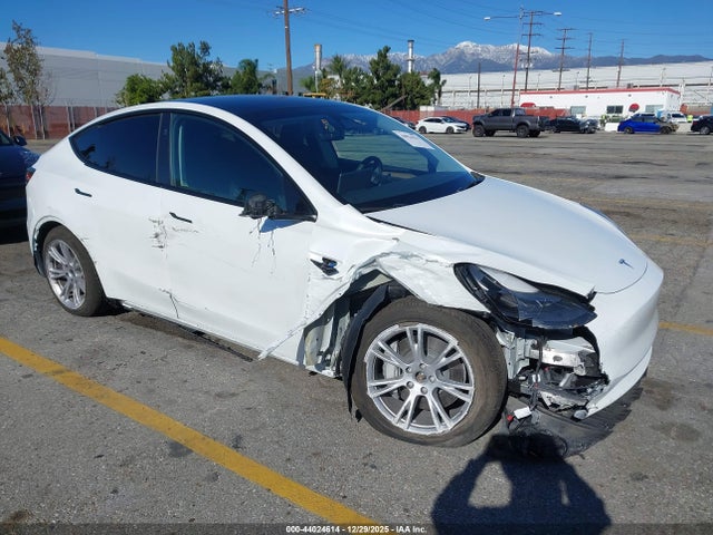 2024 TESLA MODEL Y 7SAYGDEE0RA216410 Photo 0