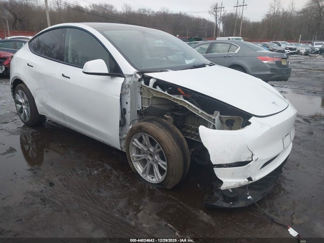 2023 TESLA MODEL Y 7SAYGDEE7PA074358 Photo 5