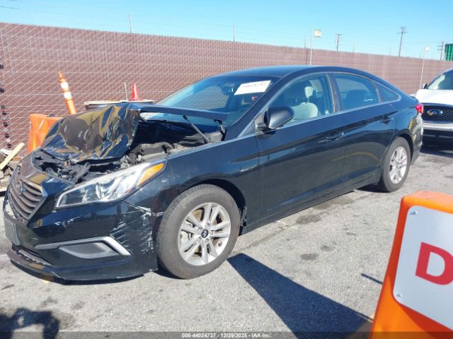 2016 HYUNDAI SONATA 5NPE24AF7GH342388 Photo 1