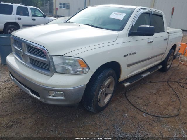 2010 DODGE RAM 1500 1D7RB1CTXAS226426 Photo 1