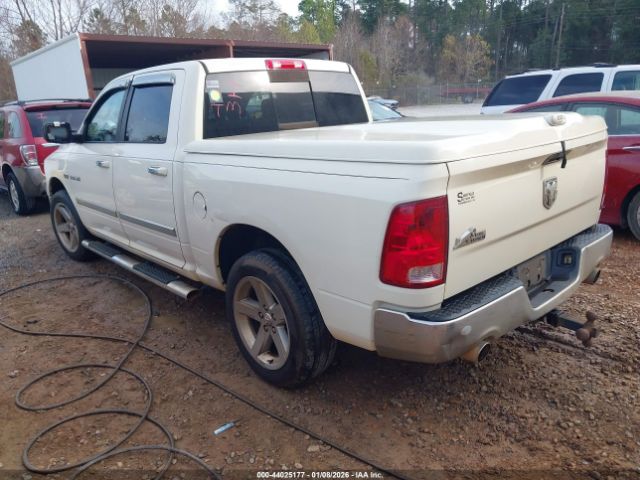 2010 DODGE RAM 1500 1D7RB1CTXAS226426 Photo 2