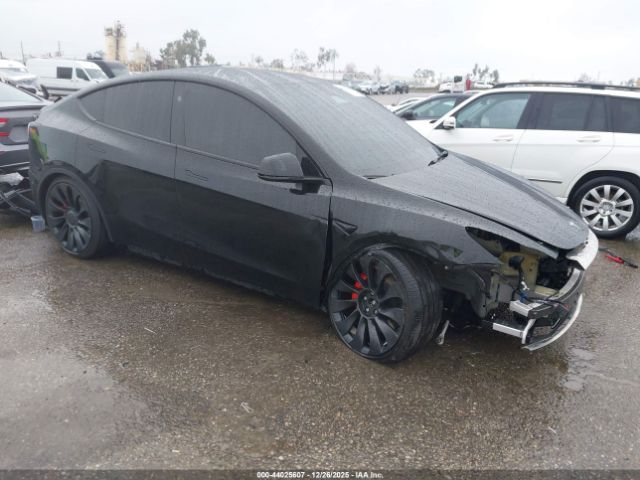 2024 TESLA MODEL Y 7SAYGDEF3RF078227