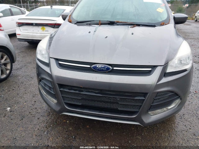 Ford ESCAPE SE 2014 1FMCU0GX3EUC09667 Image 12