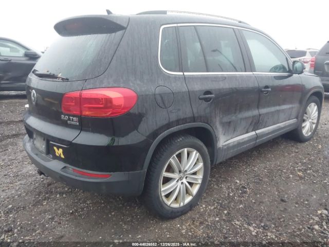 2014 VOLKSWAGEN TIGUAN WVGBV3AX0EW567848 Photo 3