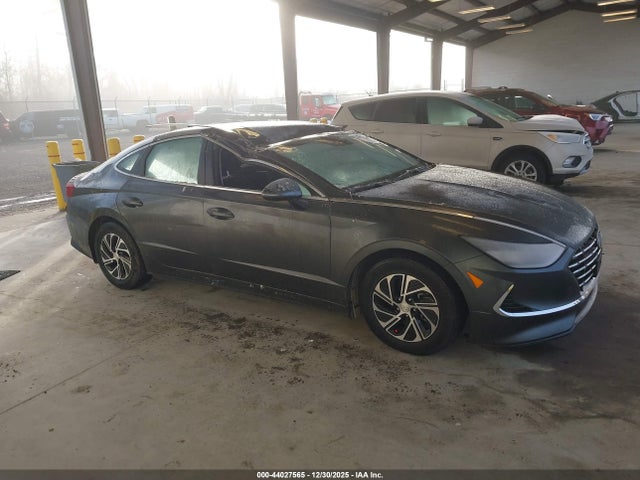 KMHL24JJ3PA053829 Hyundai Sonata Hybrid Blue