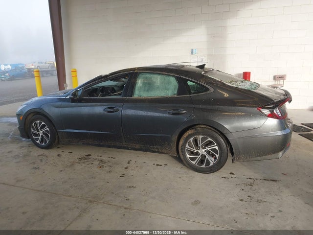 KMHL24JJ3PA053829 Hyundai Sonata Hybrid Blue