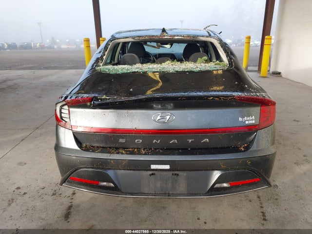 KMHL24JJ3PA053829 Hyundai Sonata Hybrid Blue