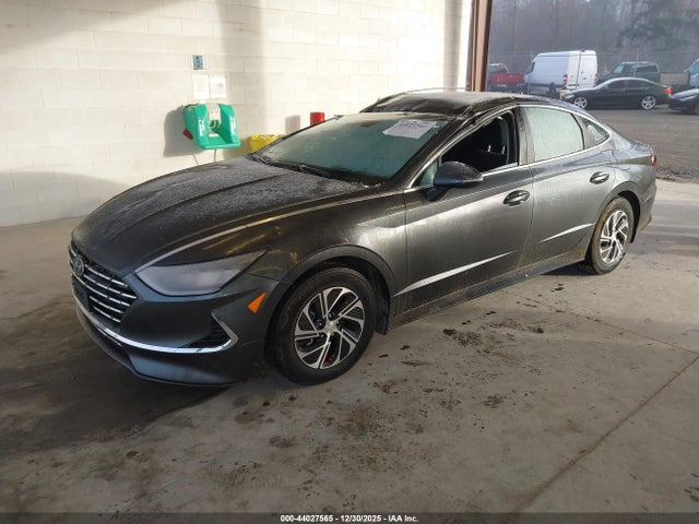 KMHL24JJ3PA053829 Hyundai Sonata Hybrid Blue