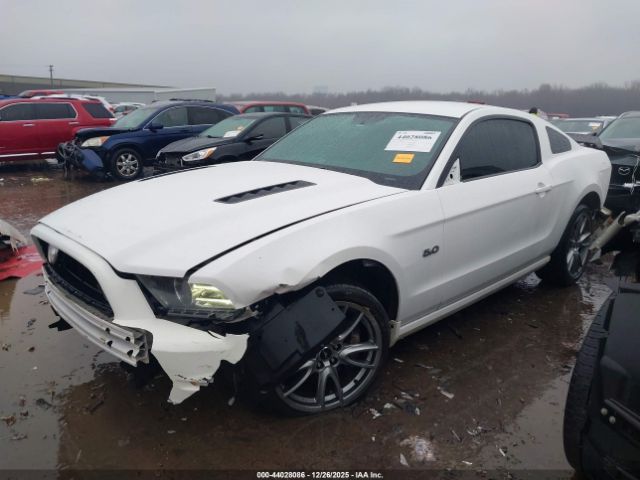 2013 FORD MUSTANG 1ZVBP8CF4D5206687 Photo 1